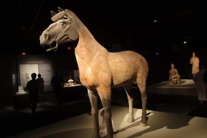 Xi’an Terracotta Army Entry Ticket Booking - with Guide Option - Children, seniors, and the fine print on admission