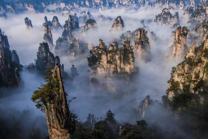 Zhangjiajie National Forest Park Entrance Ticket - Entering a Park That Can Sell Out