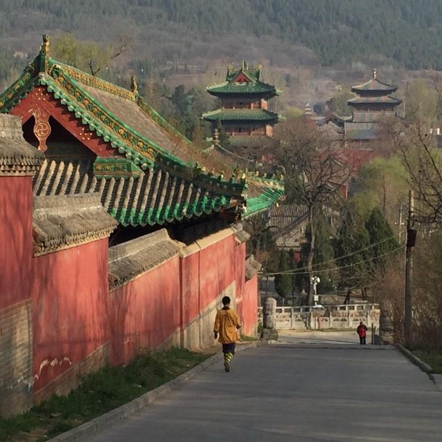 Zhengzhou: Private Tour to Shaolin Temple & Longmen Grottoes - Walking through Shaolin Temple